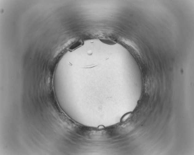 X0000088170314200706051123