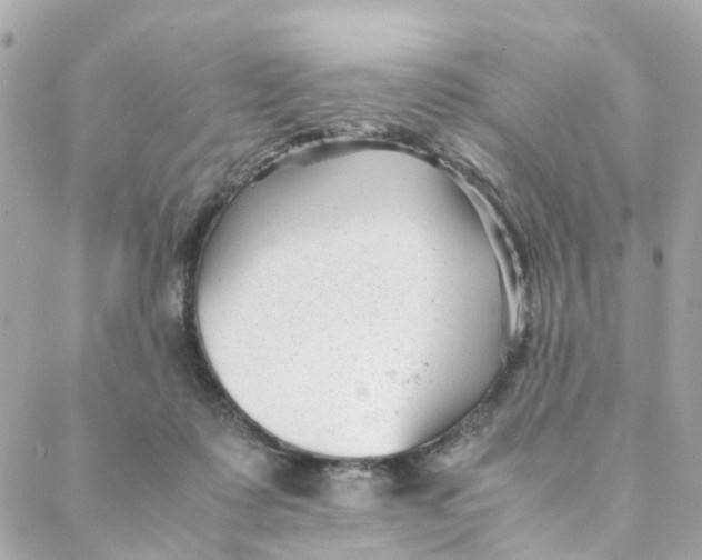 X0000088170315200706051123