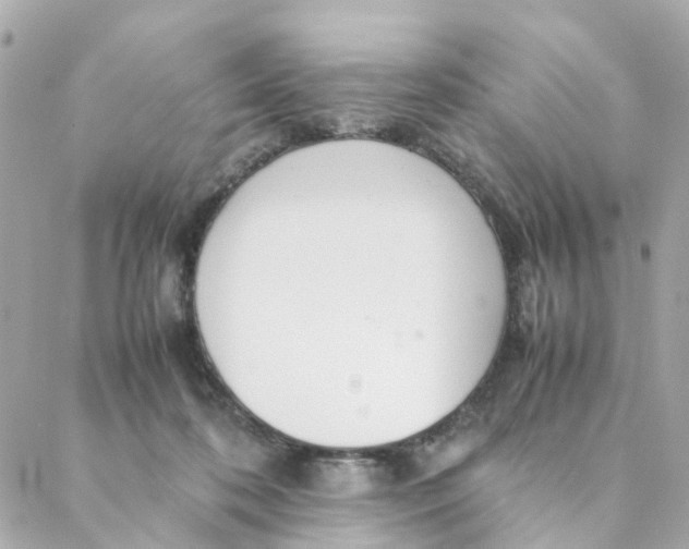 X0000088170316200706051123