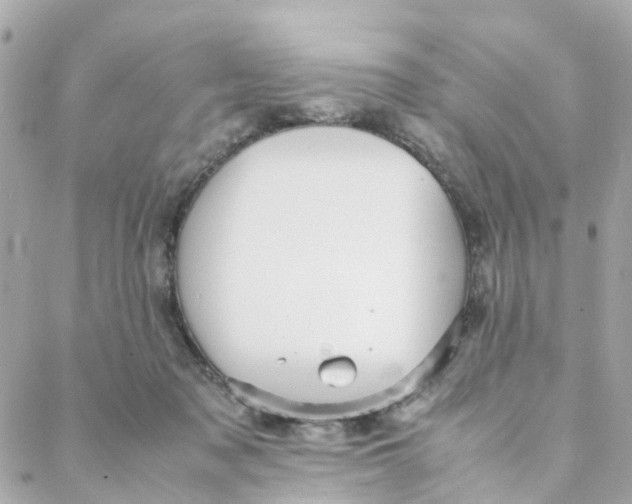 X0000088170317200706051123