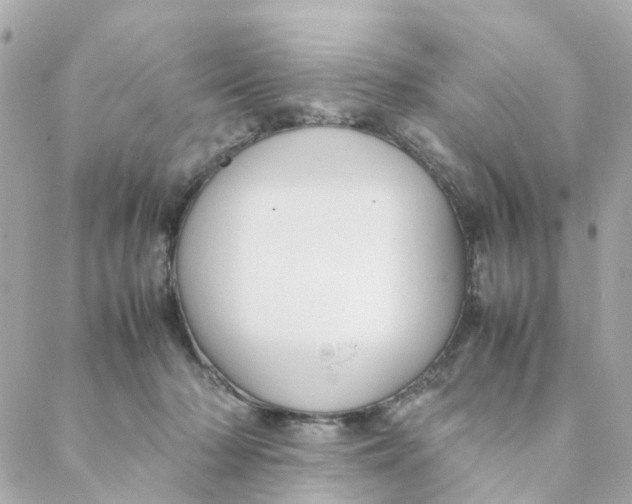 X0000088170318200706051123