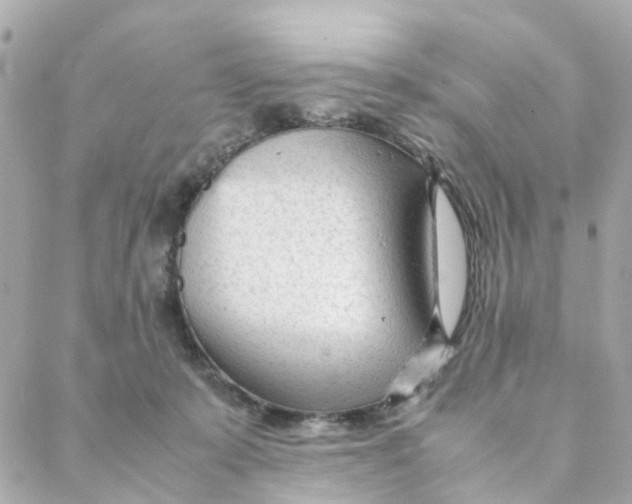 X0000088170319200706051123