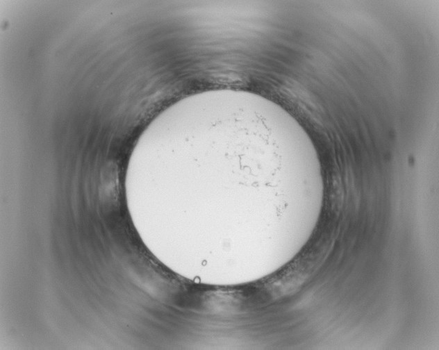 X0000088170320200706051123