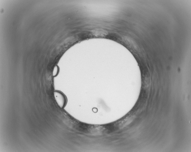 X0000088170321200706051123