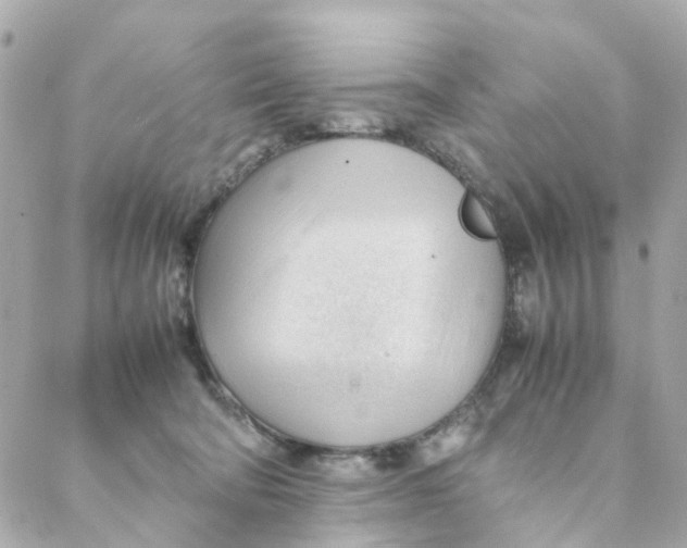 X0000088170322200706051123