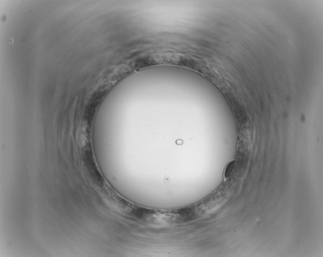 X0000088170323200706051123