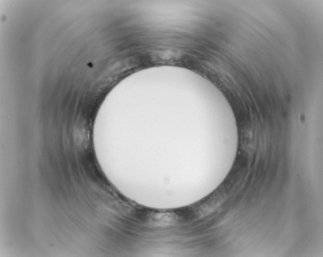 X0000088170324200706051123