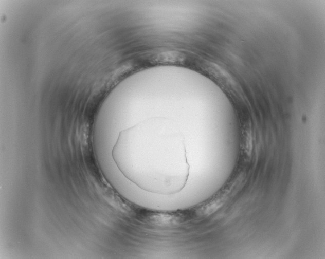 X0000088170326200706051123