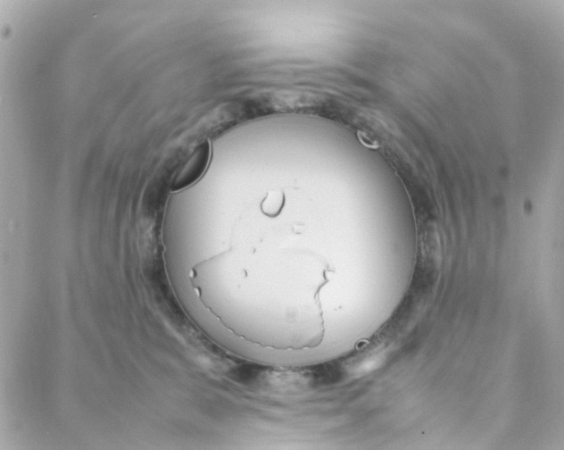 X0000088170327200706051123