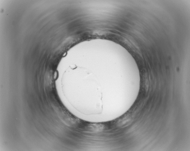 X0000088170328200706051123