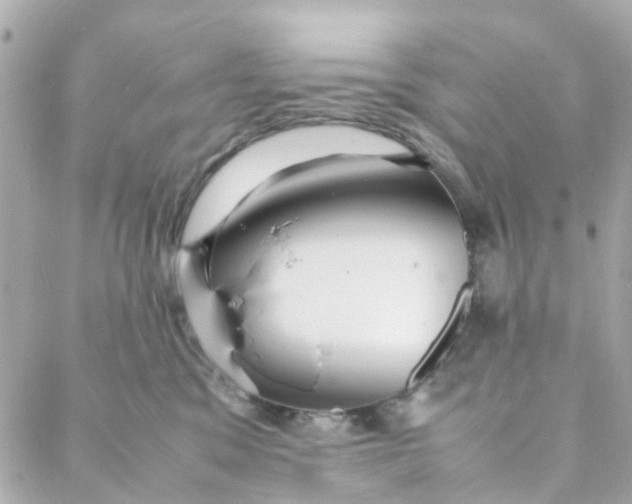 X0000088170329200706051123