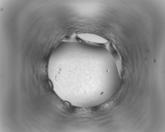 X0000088170331200706051123