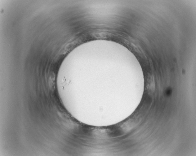 X0000088170332200706051123