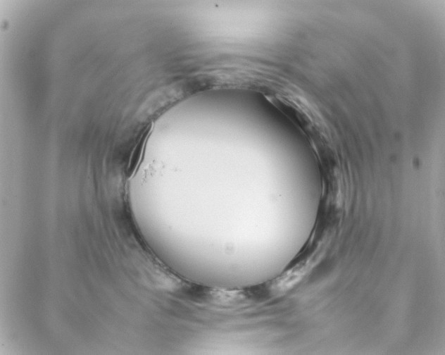 X0000088170333200706051123