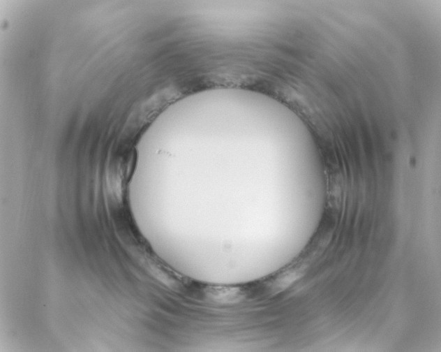 X0000088170334200706051123