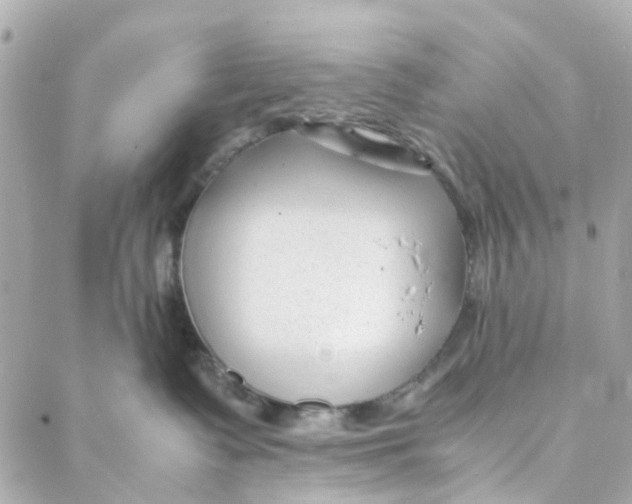 X0000088170335200706051123