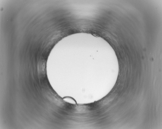 X0000088170336200706051123