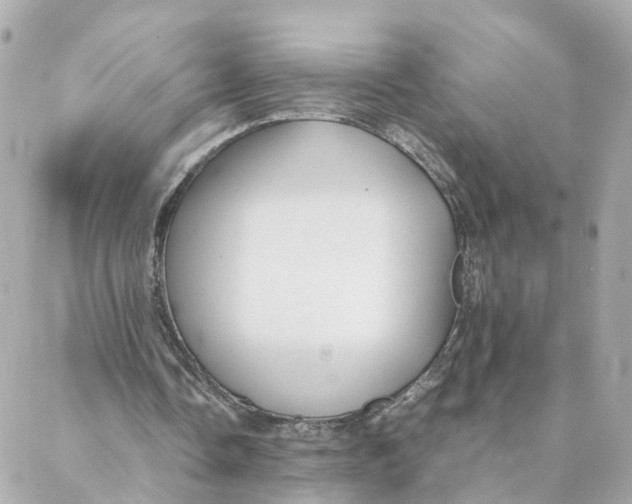 X0000088170338200706051122