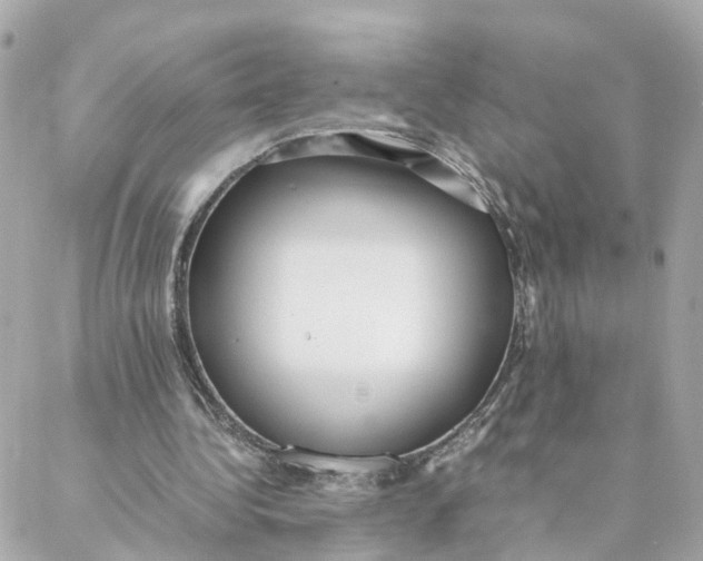 X0000088170340200706051122