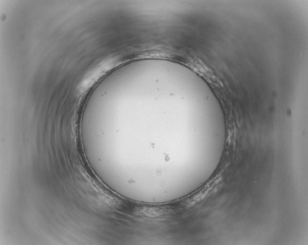 X0000088170341200706051122