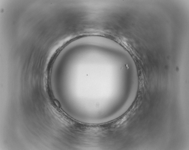 X0000088170342200706051122