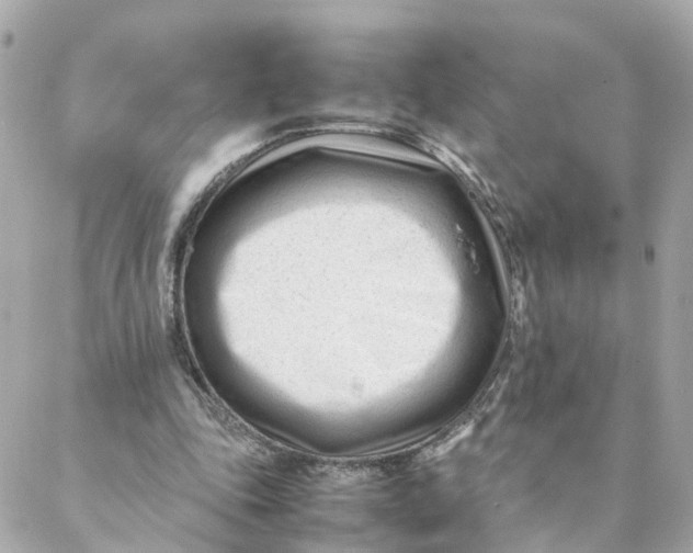 X0000088170343200706051122