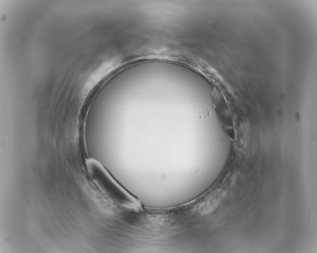 X0000088170344200706051122