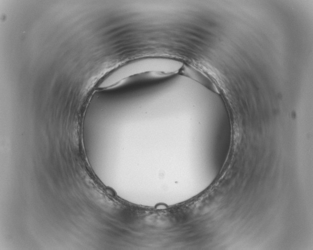 X0000088170345200706051122