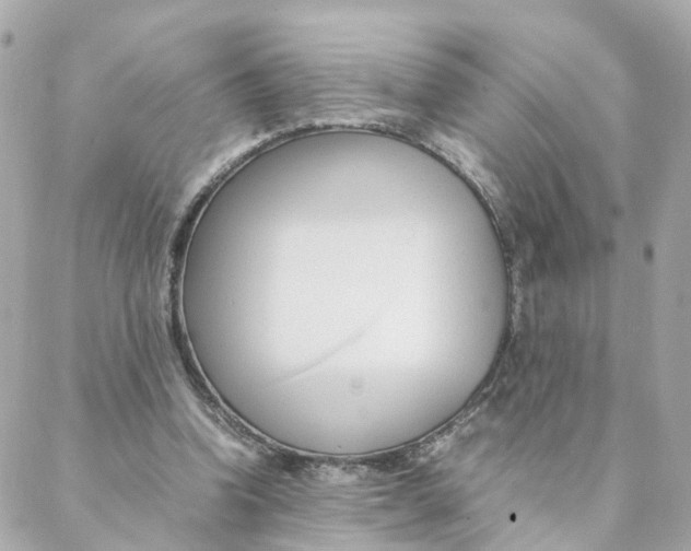 X0000088170346200706051122