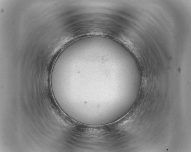 X0000088170347200706051122