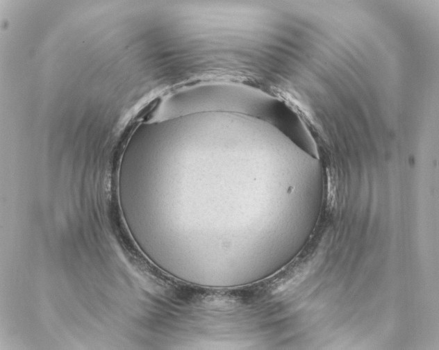 X0000088170348200706051122