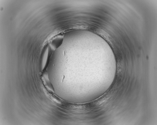 X0000088170349200706051122