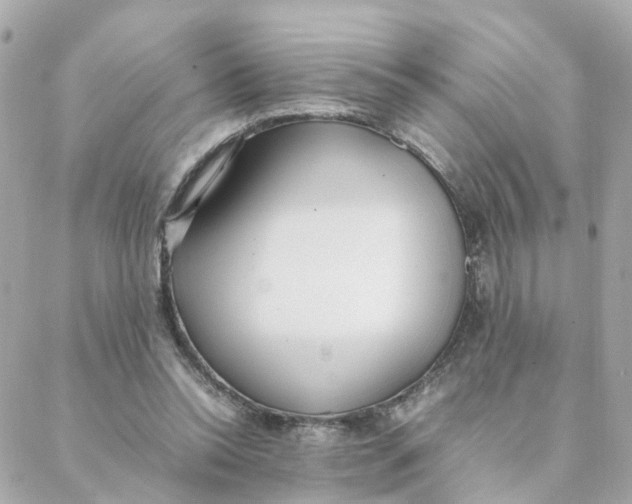 X0000088170350200706051122