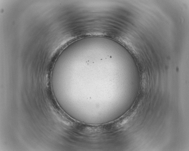 X0000088170351200706051122