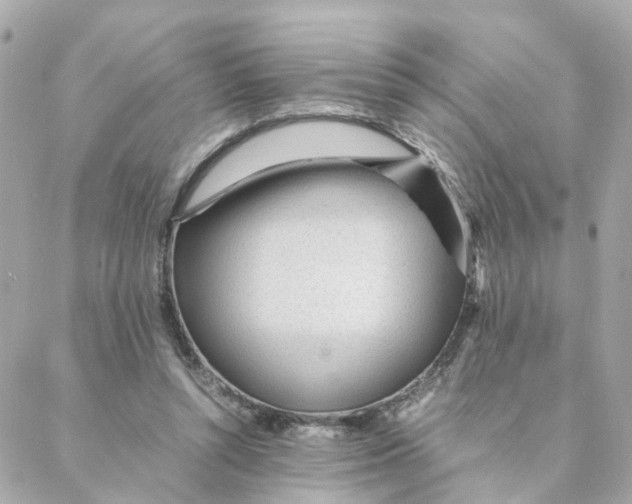 X0000088170352200706051122