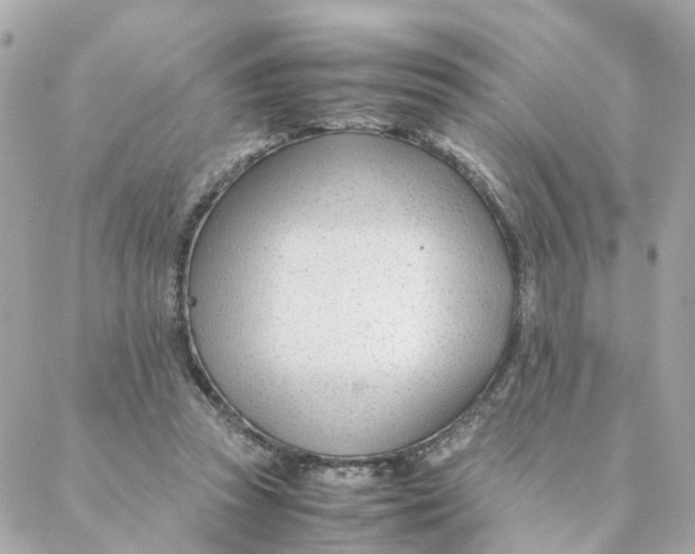 X0000088170353200706051122