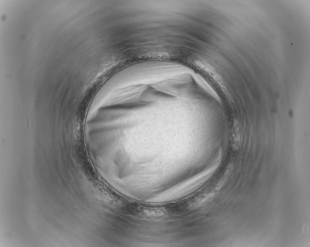 X0000088170355200706051122