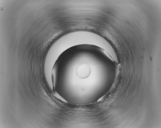 X0000088170356200706051122