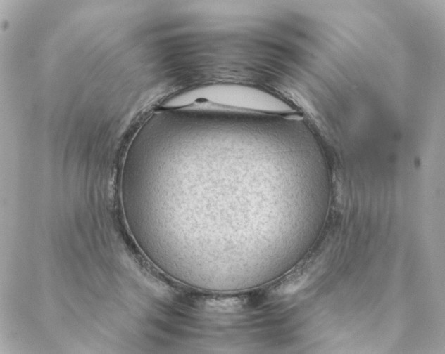 X0000088170357200706051122