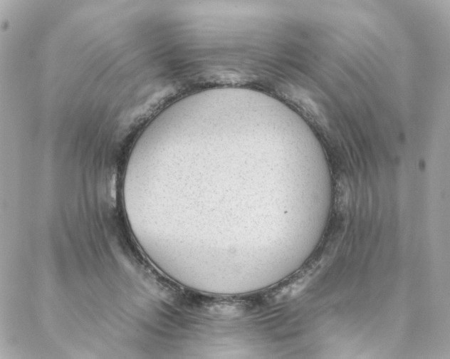 X0000088170358200706051122