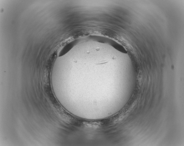 X0000088170359200706051122