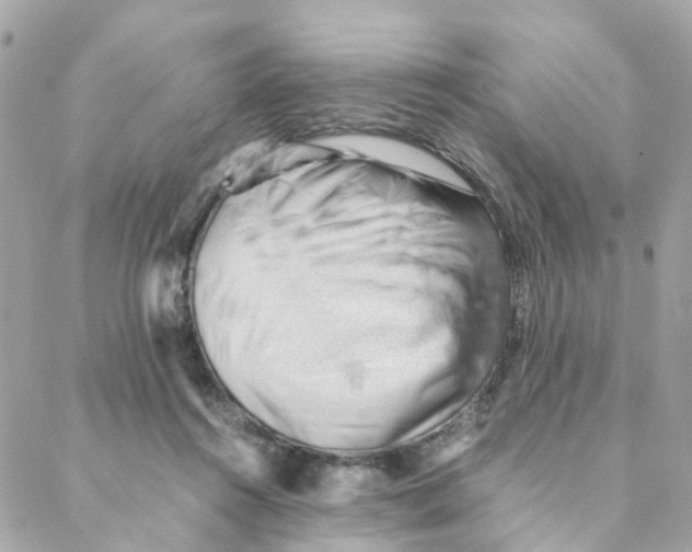 X0000088170360200706051122