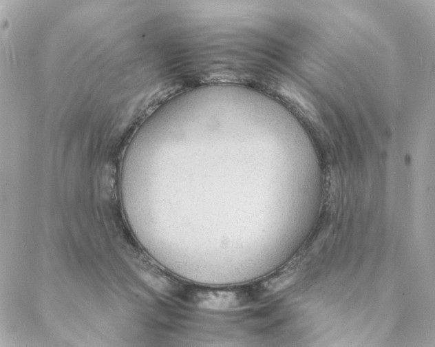 X0000088170361200706051122