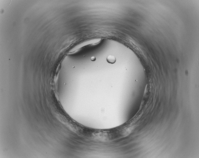 X0000088170362200706051122