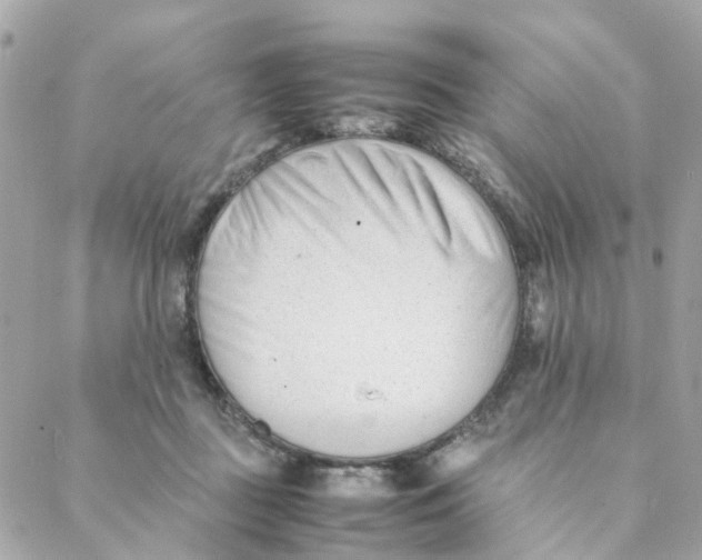 X0000088170363200706051122