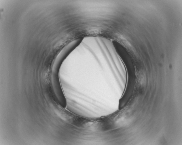 X0000088170364200706051122