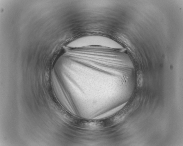 X0000088170365200706051122