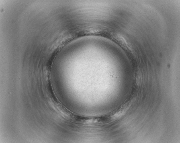 X0000088170366200706051122