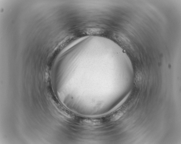 X0000088170367200706051122