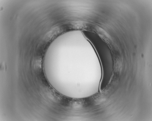 X0000088170368200706051122